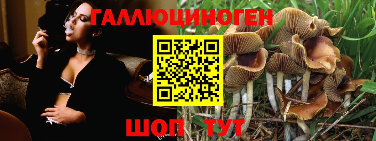Чебаркуль  Псилоцибиновые грибы мицелий  Вход с VPN 