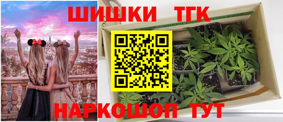 Чебаркуль  Шишки марихуана план  Бошки Шишки план  Канабис VHQ  Вход с VPN  Канабис Ganja 
